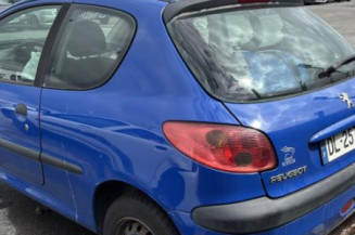 Porte avant gauche PEUGEOT 206
