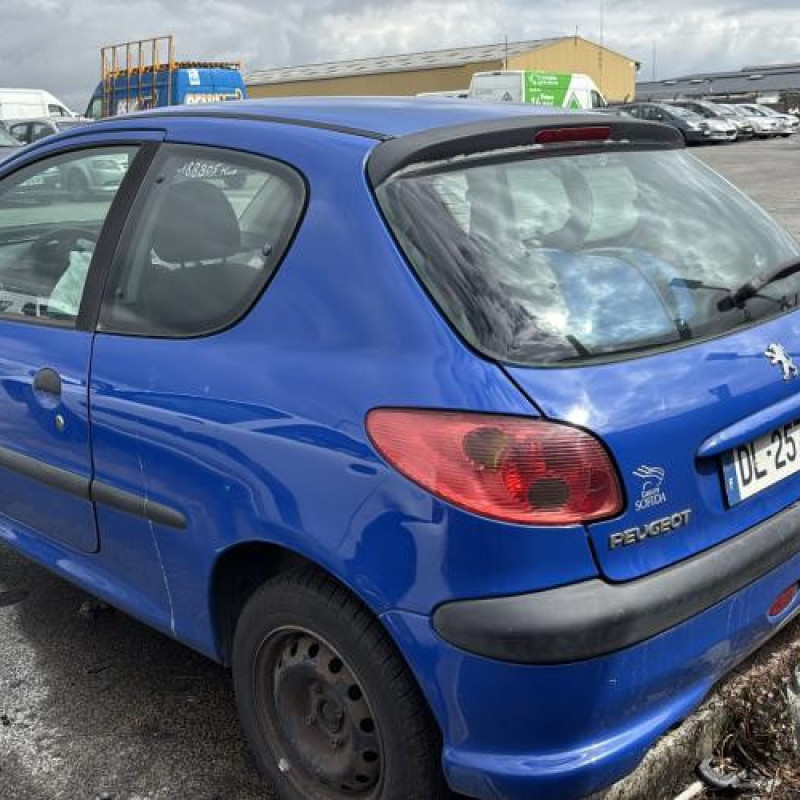 Porte avant gauche PEUGEOT 206 Photo n°8