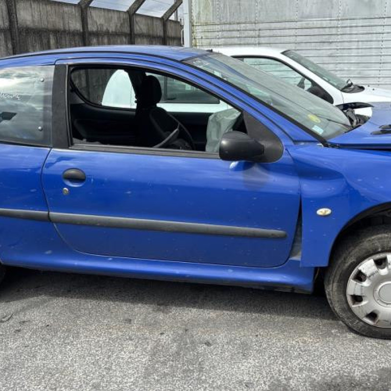 Porte avant gauche PEUGEOT 206 Photo n°12