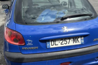 Porte avant gauche PEUGEOT 206