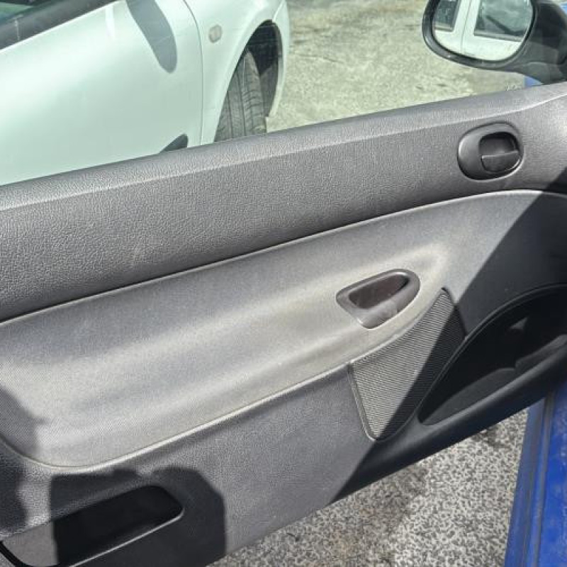 Porte avant gauche PEUGEOT 206 Photo n°16