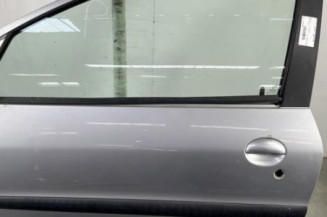 Porte avant gauche PEUGEOT 206 Photo n°1