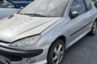Porte avant gauche PEUGEOT 206