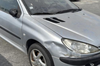 Porte avant gauche PEUGEOT 206