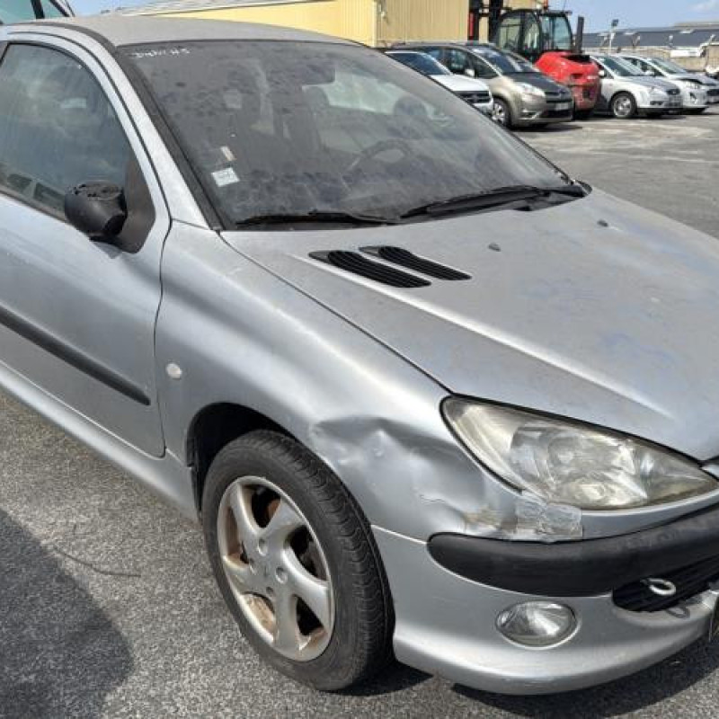 Porte avant gauche PEUGEOT 206 Photo n°8
