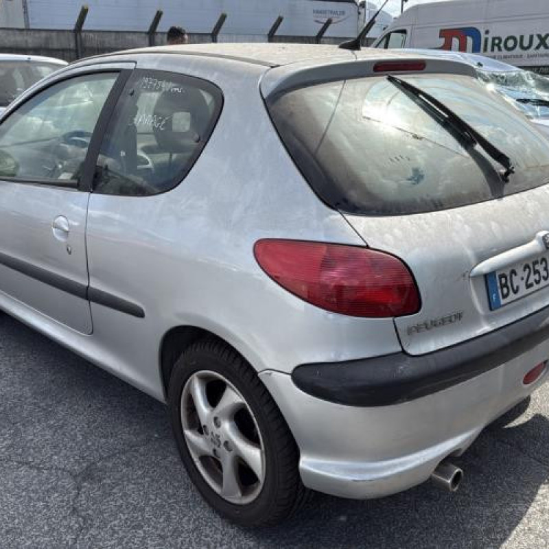 Porte avant gauche PEUGEOT 206 Photo n°10