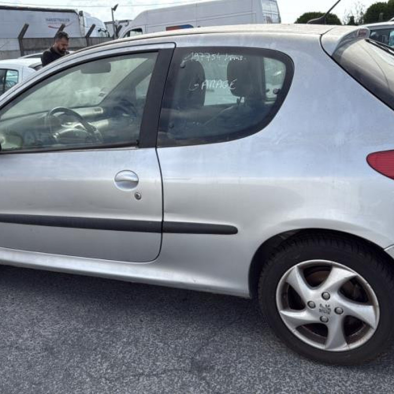 Porte avant gauche PEUGEOT 206 Photo n°12