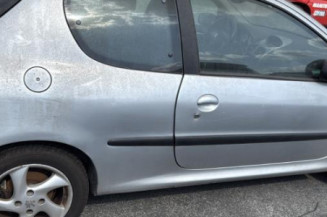 Porte avant gauche PEUGEOT 206