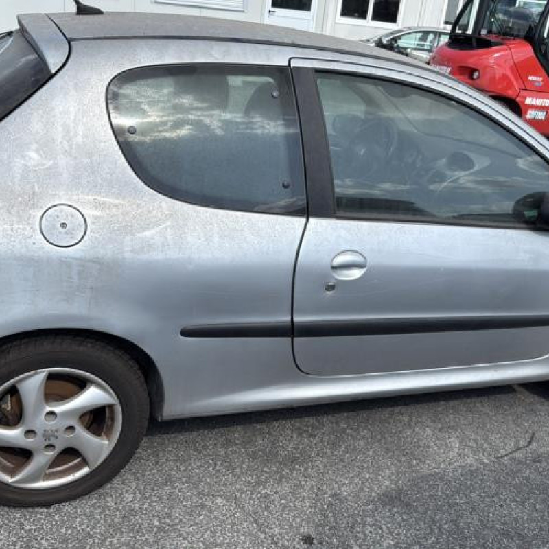 Porte avant gauche PEUGEOT 206 Photo n°13