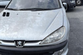 Porte avant gauche PEUGEOT 206