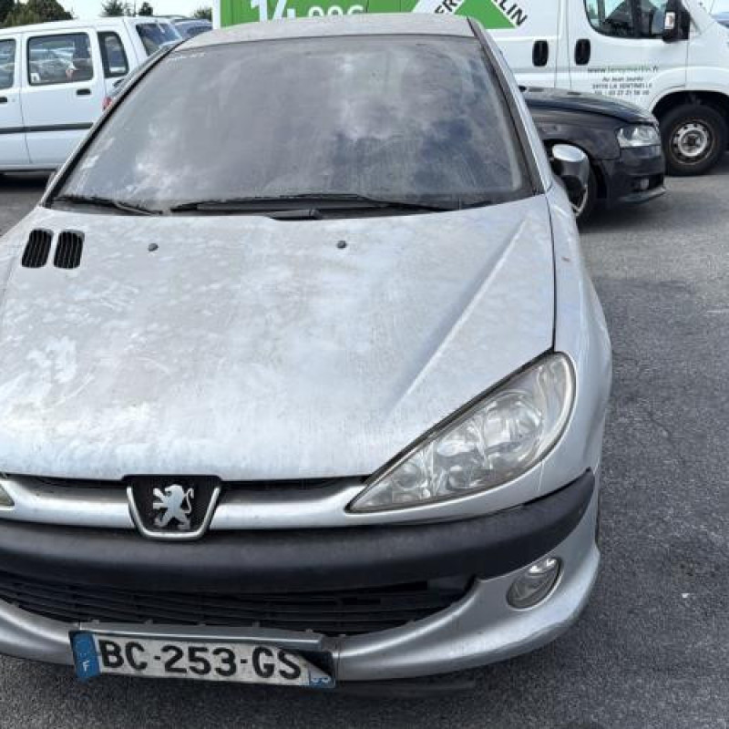 Porte avant gauche PEUGEOT 206 Photo n°14