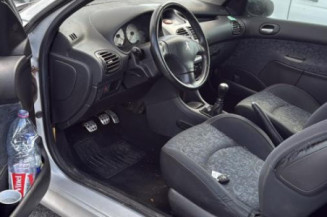 Porte avant gauche PEUGEOT 206