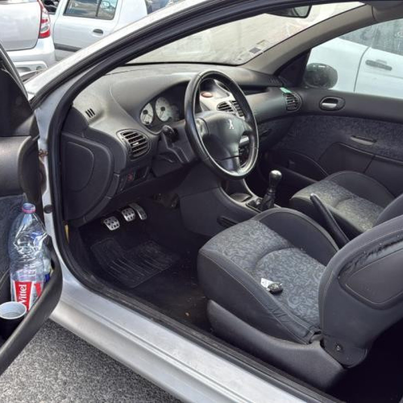 Porte avant gauche PEUGEOT 206 Photo n°15