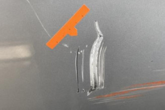 Porte avant gauche SMART FORFOUR 1