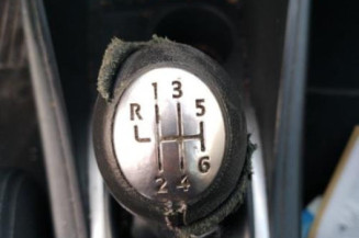Porte avant gauche RENAULT MEGANE 3