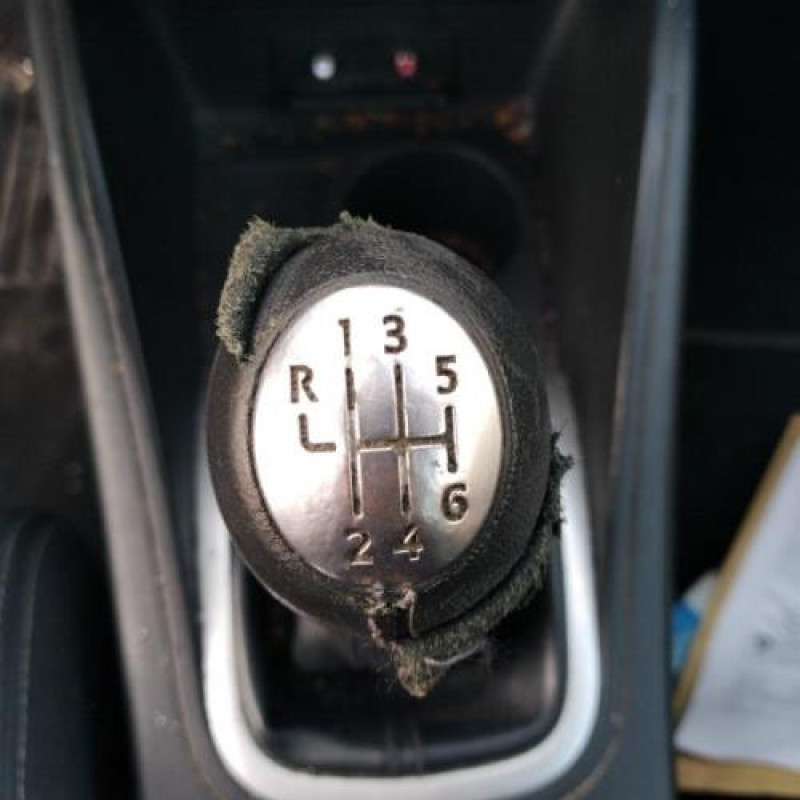 Porte avant gauche RENAULT MEGANE 3 Photo n°19