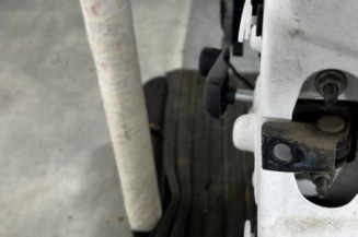 Porte arriere gauche CITROEN C3 3