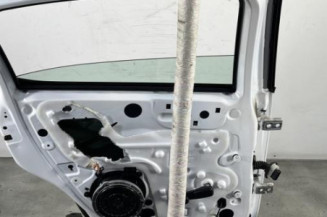 Porte arriere gauche CITROEN C3 3