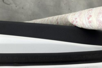 Porte arriere gauche KIA PICANTO 3