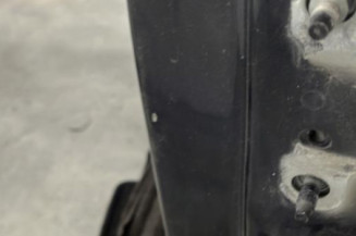 Porte avant gauche RENAULT MEGANE 2