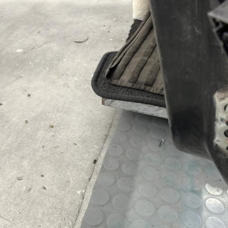 Porte avant gauche RENAULT MEGANE 2 Photo n°5