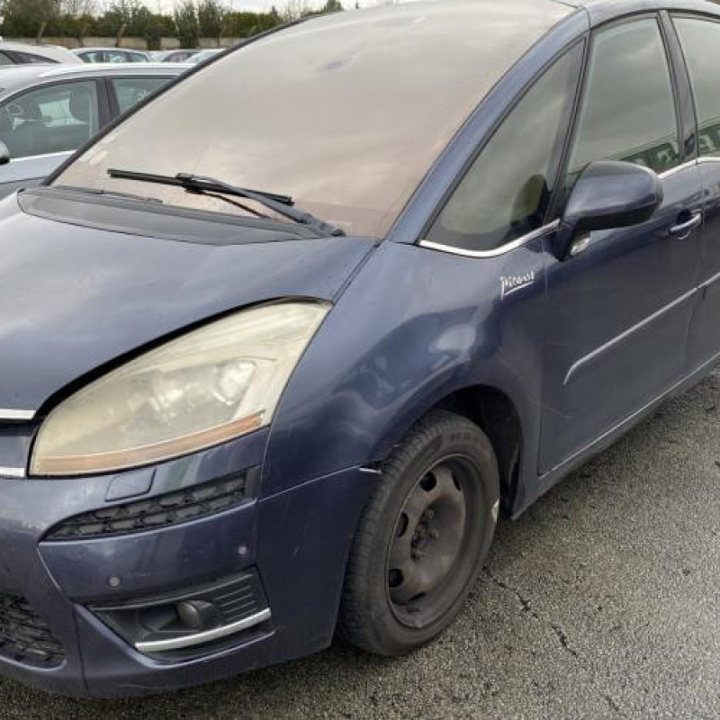 Porte avant droit CITROEN C4 PICASSO 1 Photo n°5
