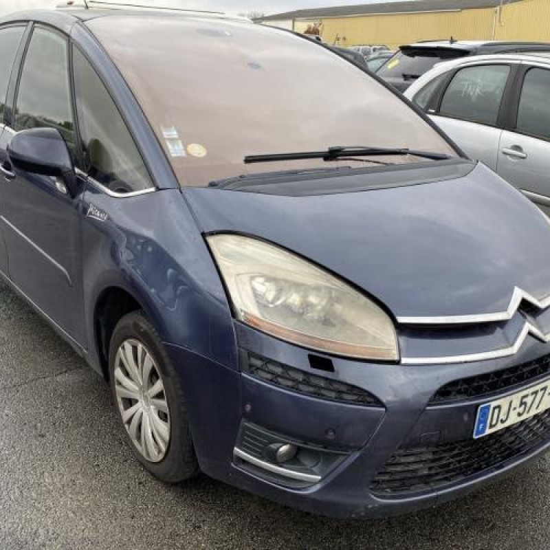 Porte avant droit CITROEN C4 PICASSO 1 Photo n°6
