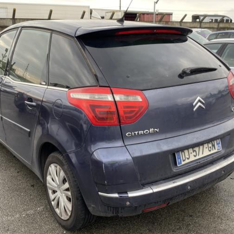 Porte avant droit CITROEN C4 PICASSO 1 Photo n°8
