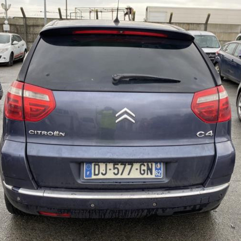 Porte avant droit CITROEN C4 PICASSO 1 Photo n°9