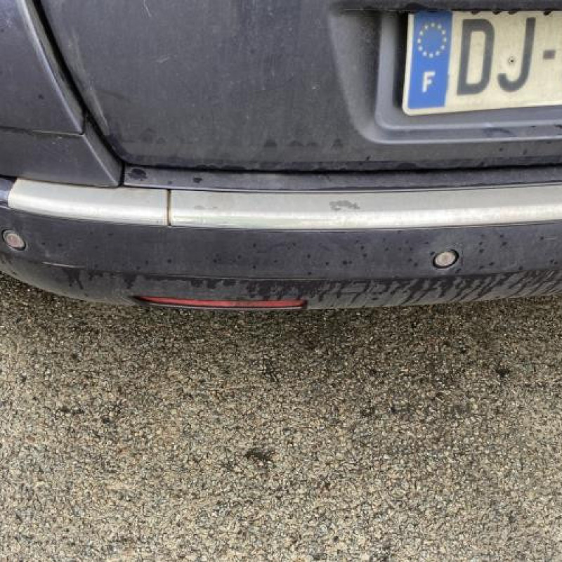Porte avant droit CITROEN C4 PICASSO 1 Photo n°10