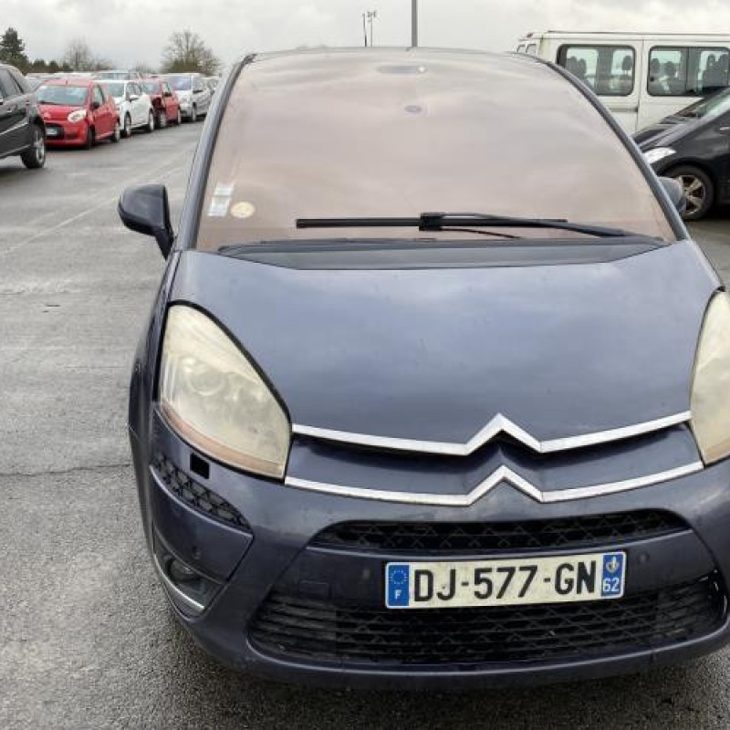Porte avant droit CITROEN C4 PICASSO 1 Photo n°13