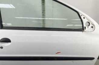 Porte avant droit PEUGEOT 206+ Photo n°1