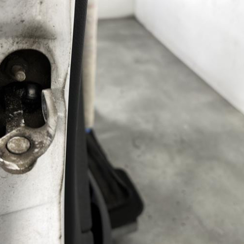 Porte avant droit PEUGEOT 206+ Photo n°8