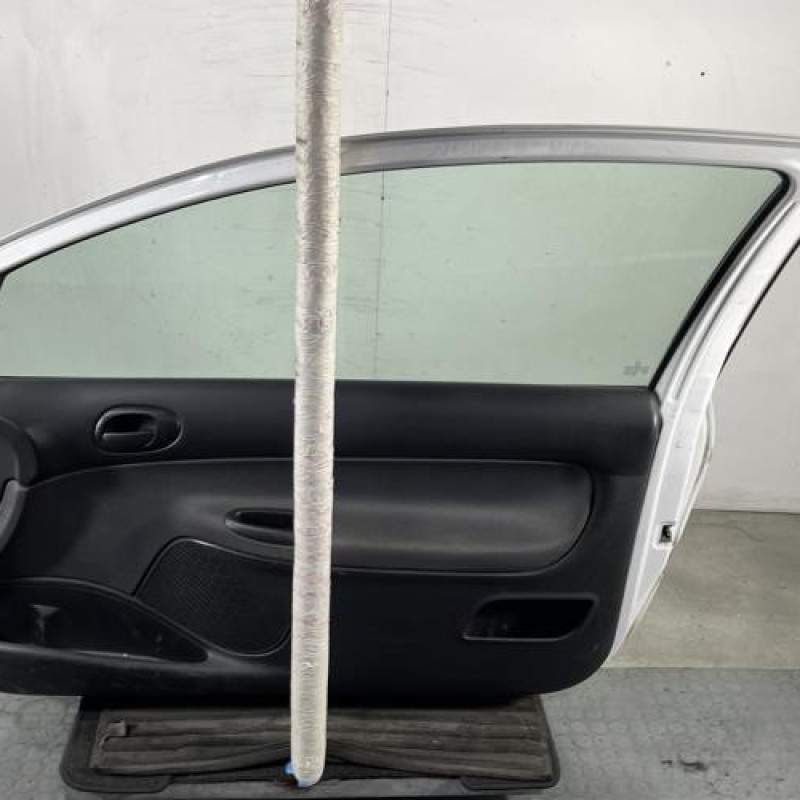 Porte avant droit PEUGEOT 206+ Photo n°9