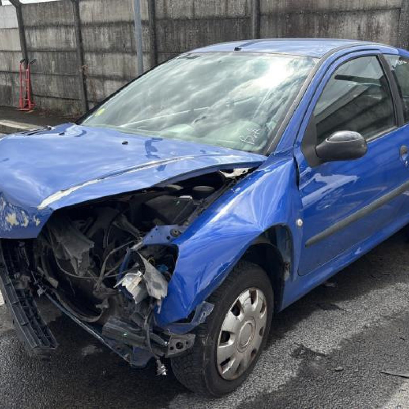 Porte avant droit PEUGEOT 206 Photo n°10