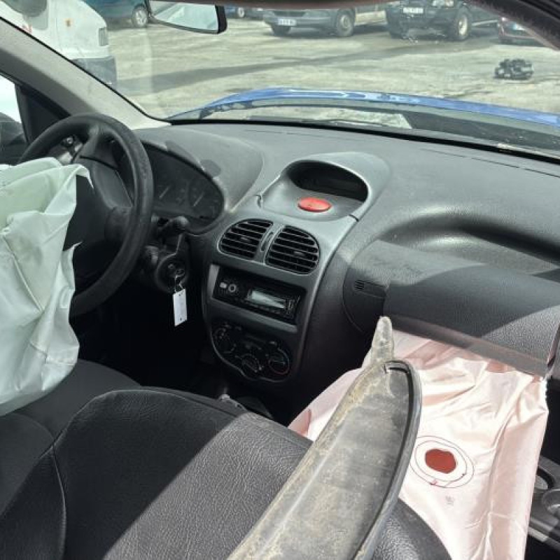 Porte avant droit PEUGEOT 206 Photo n°16