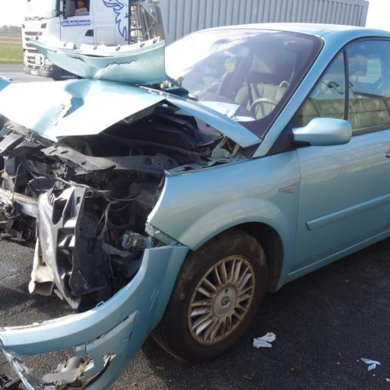 Malle/Hayon arriere RENAULT GRAND SCENIC 2 Photo n°3