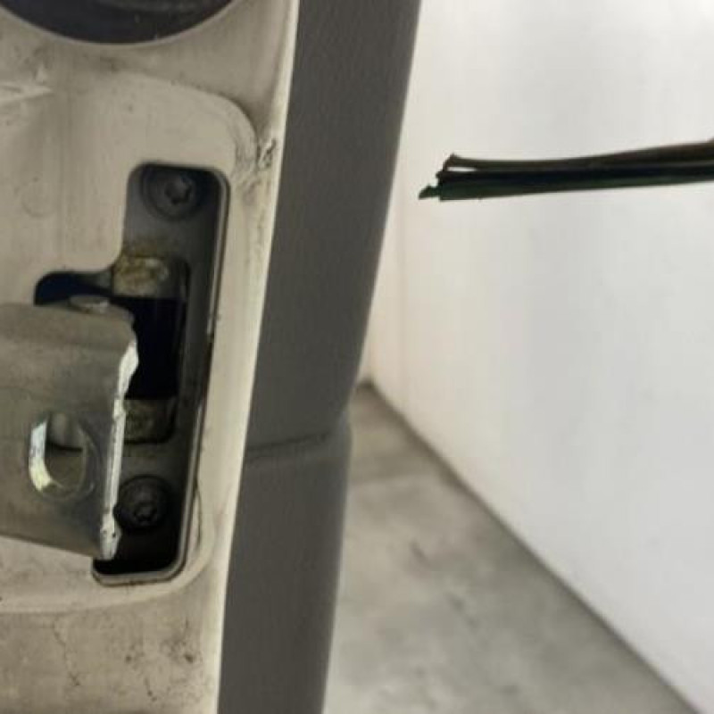 Porte avant droit VOLKSWAGEN CRAFTER 1 Photo n°5