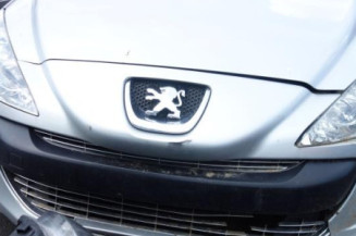 Plage arriere PEUGEOT 308 1
