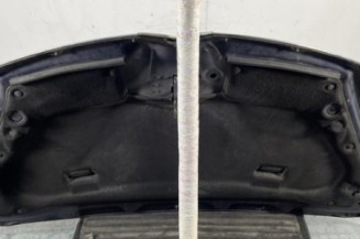 Capot CITROEN C4 PICASSO 1