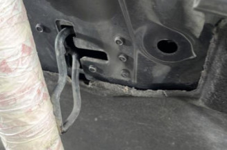 Capot CITROEN C4 PICASSO 1