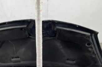 Capot CITROEN C4 PICASSO 1