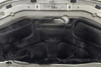 Capot DACIA LOGAN 1