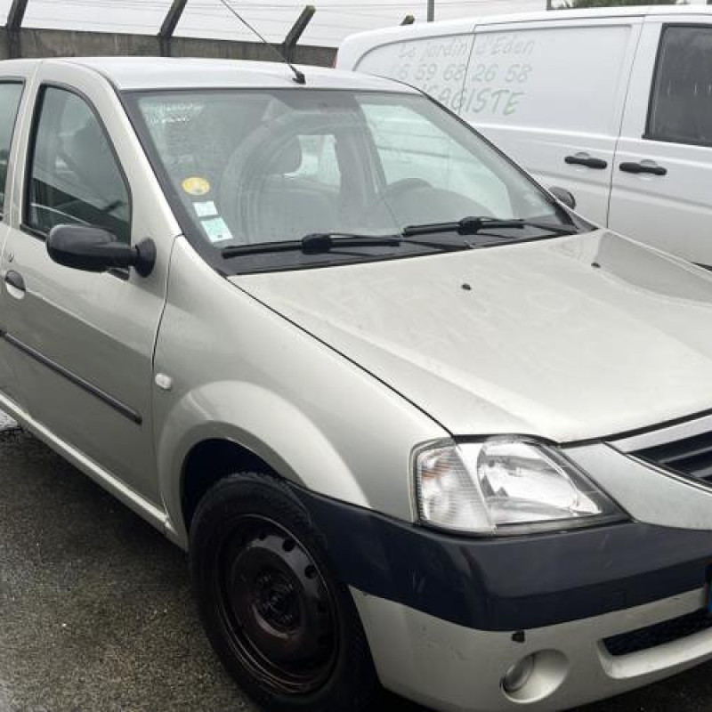 Porte avant gauche DACIA LOGAN 1 Photo n°18