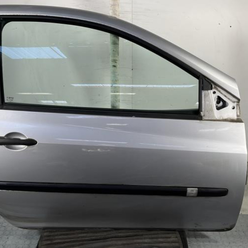 Porte avant droit RENAULT CLIO 3 Photo n°1
