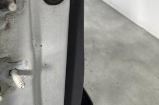 Porte avant droit RENAULT CLIO 3