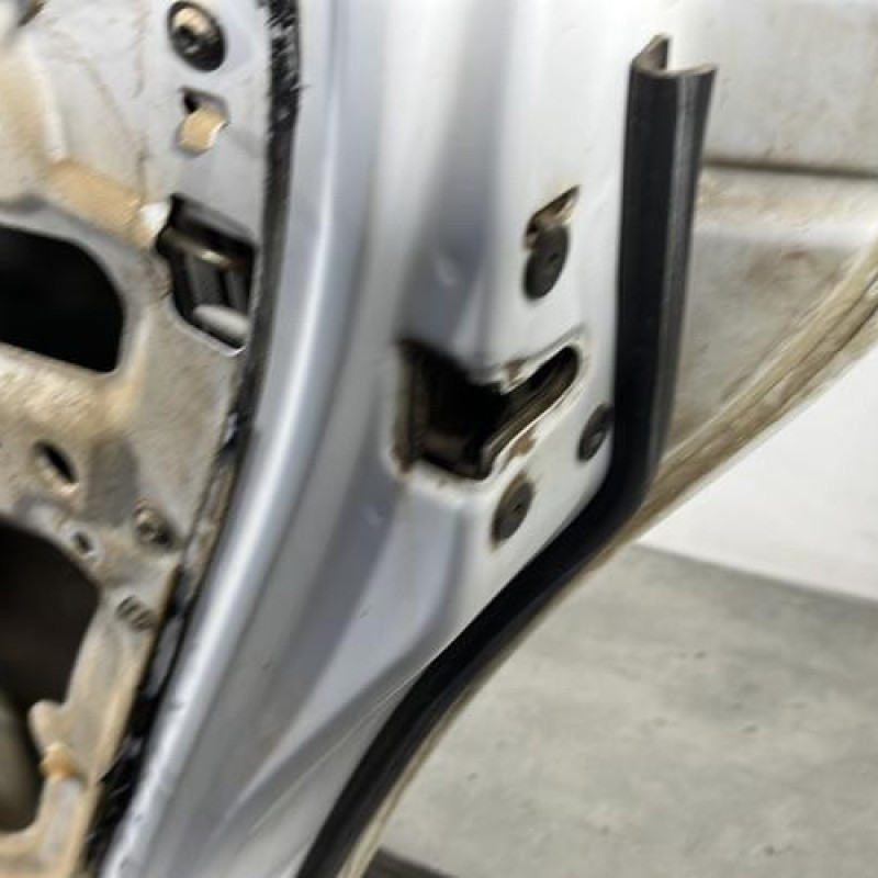 Porte arriere droit DACIA DUSTER 1 Photo n°4