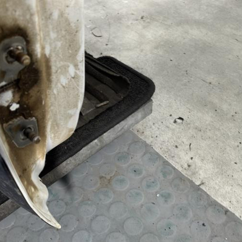 Porte avant droit DACIA DUSTER 1 Photo n°4