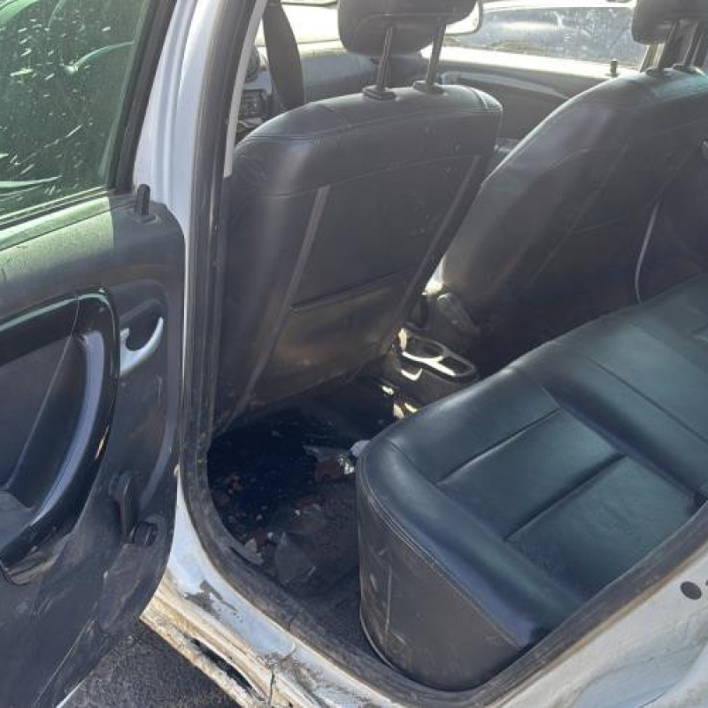 Porte avant droit DACIA DUSTER 1 Photo n°17