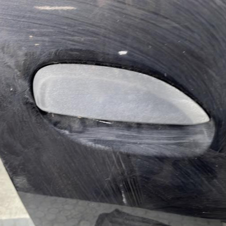 Porte avant droit DACIA SANDERO 2